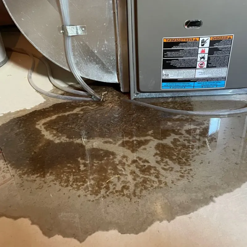 Pipe Burst and Leak Restoration in Whitesburg, KY