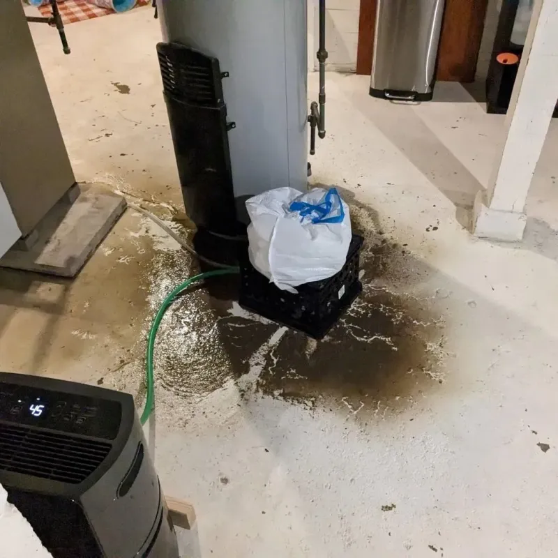 Sewage Backup Cleanup Service in Whitesburg, KY